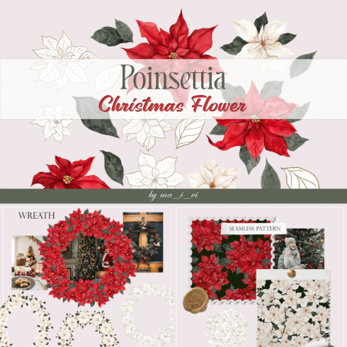 Wreath and Seamless Pattern of Poinsettia Christmas Flower.