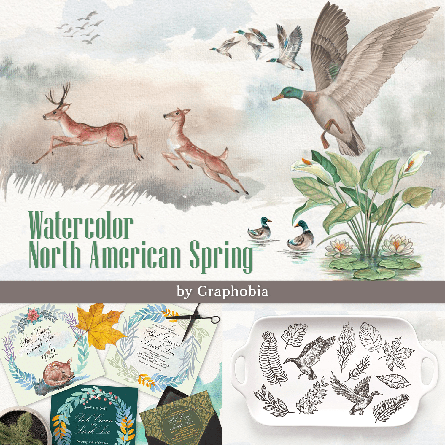 Watercolor North American Spring cover image.