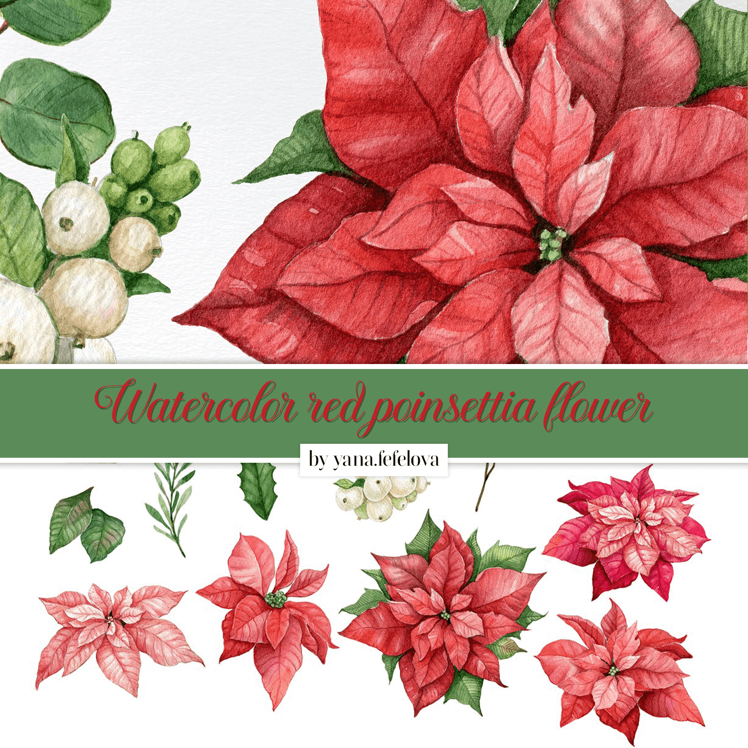 poinsettia flower clipart image