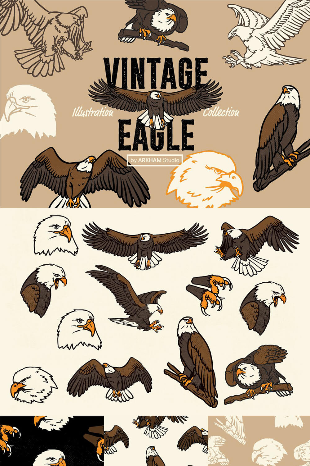 Illustration Collection Vintage eagle on the white background.