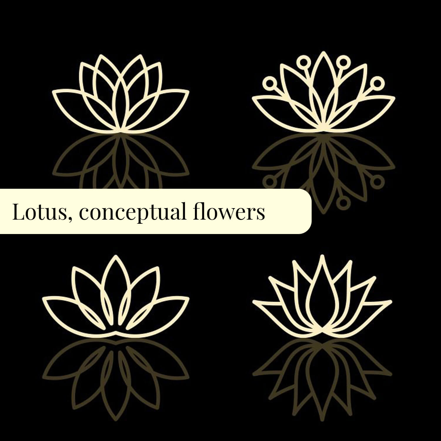 Lotus logo reflected on a glossy black surface.