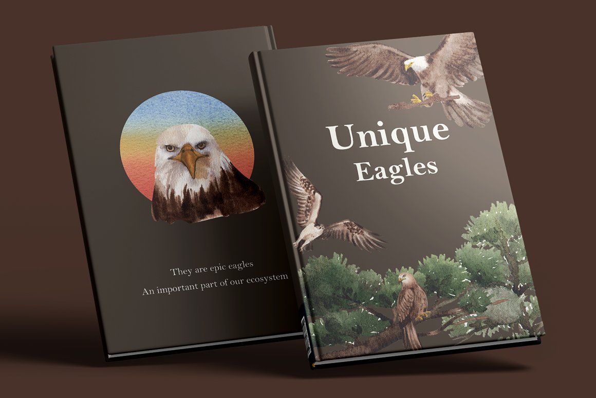 Two matte black books with glossy images of proud eagles.