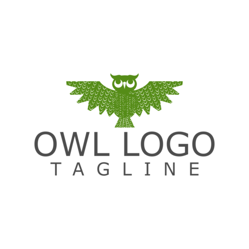 Owl Creative Logo Design Template cover image.