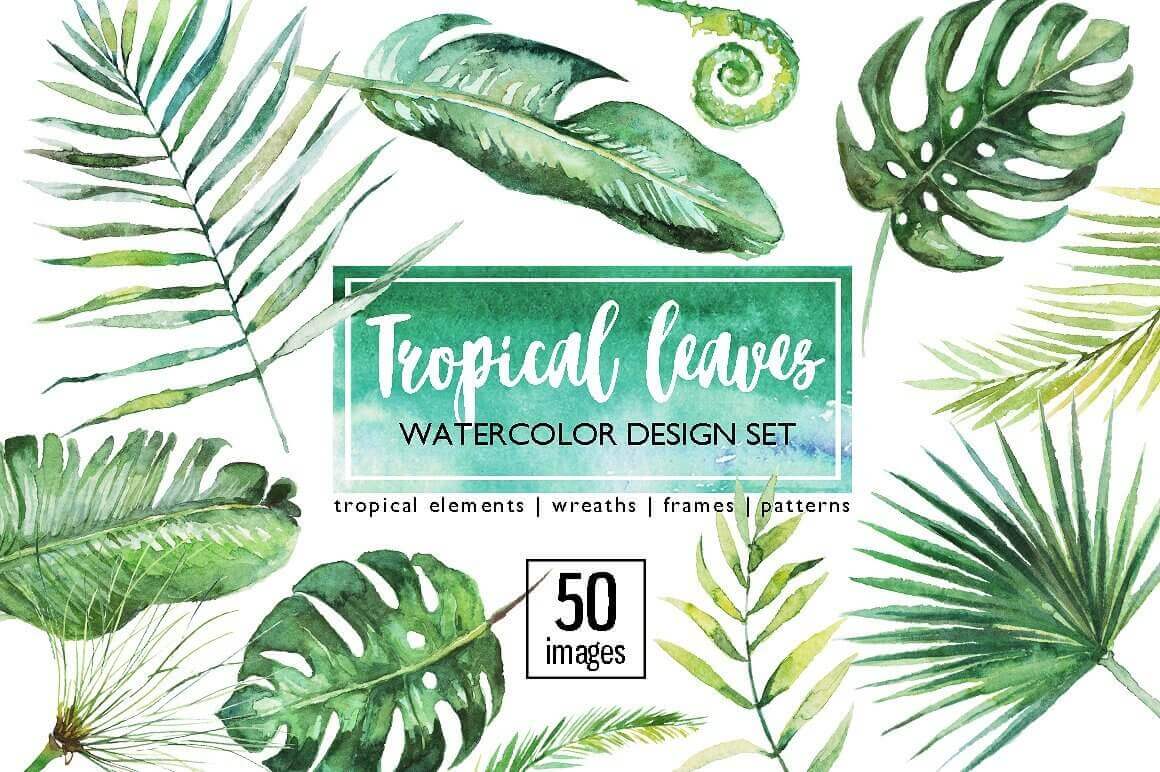 50 images of tropical leaves watercolor design set.