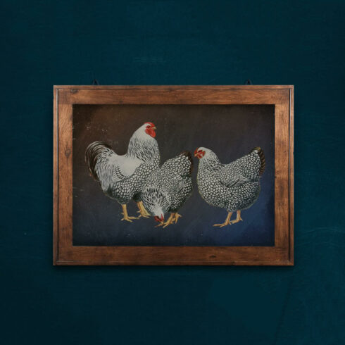 On a dark wall hangs a picture with a vintage image of black and white chickens.