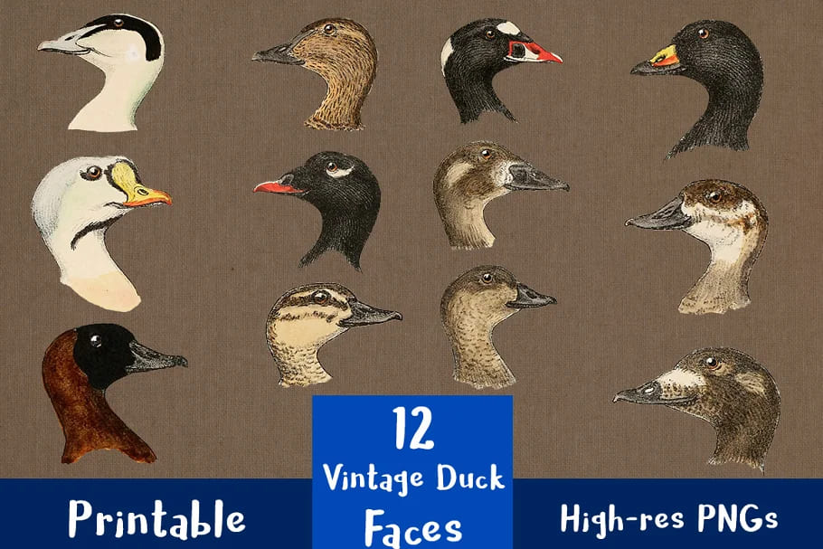 12 Vintage Duck Faces facebook image.