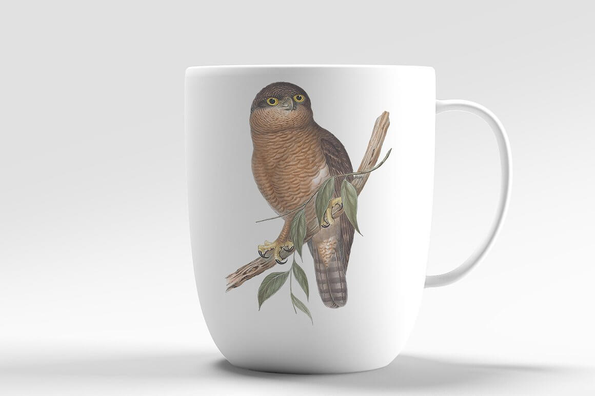 Print on a white cup with an owl sitting on a branch.