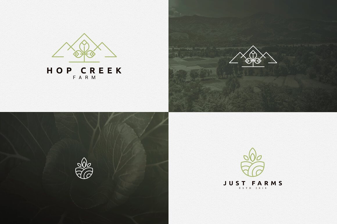 Four Hop Creek and Just Farms logos in white and pale green squares.