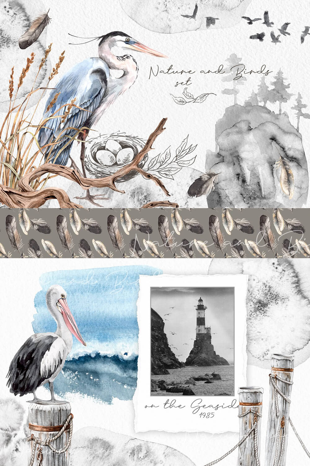 Compositions from watercolor drawings of birds and other nature.