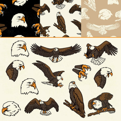 Vintage eagle in the black, white and beige backgrounds.