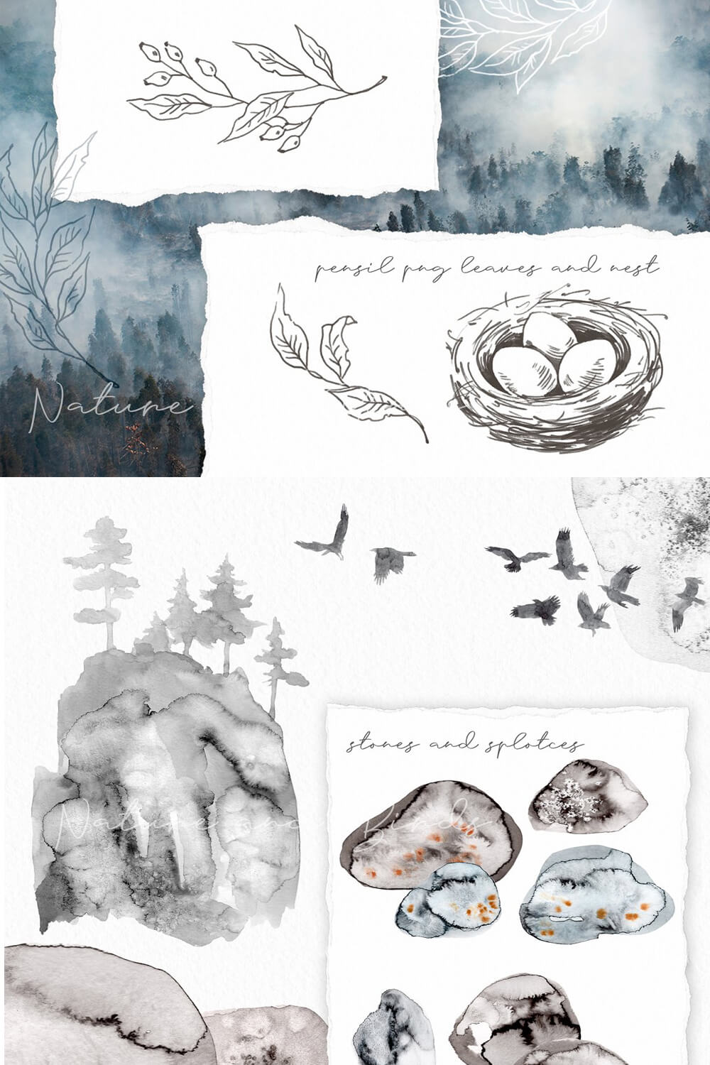 Watercolor drawings of nature: nests, stones and forests.