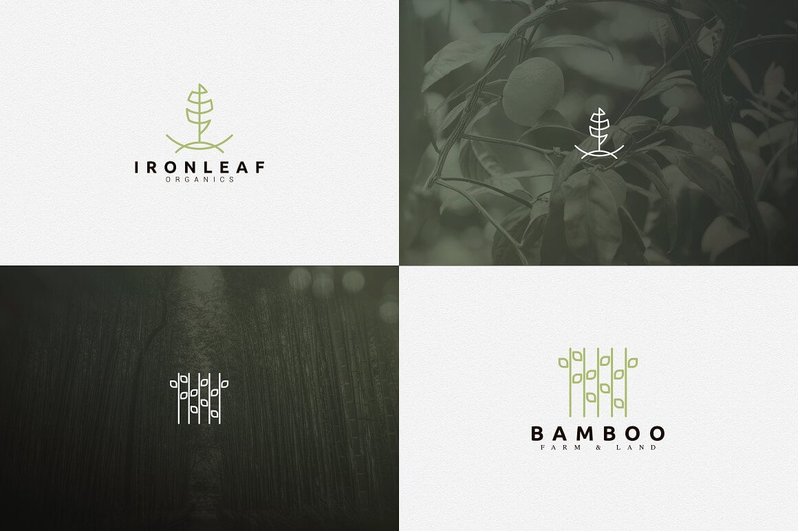 Four Ironleaf and Bamboo logos in white and pale green squares.