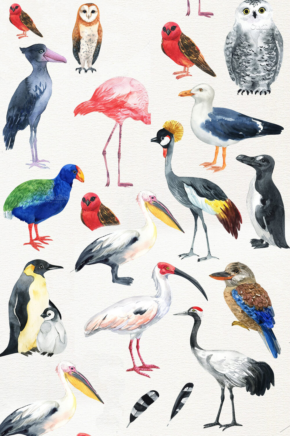 Set of different watercolor birds.