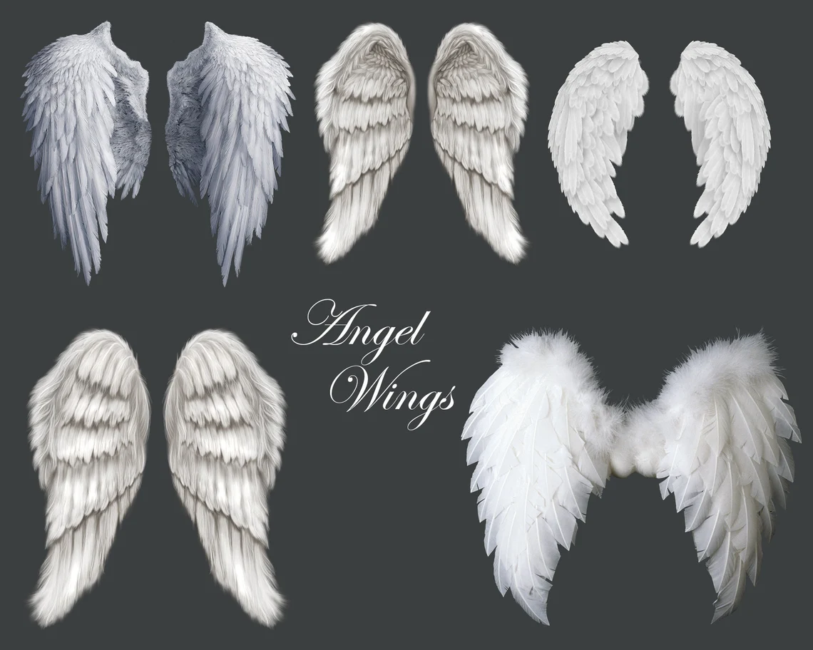 Many different wings are white and natural.