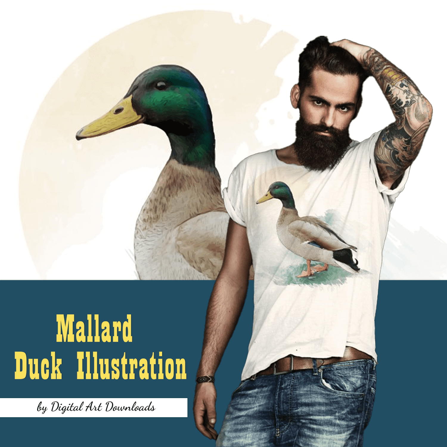 mallard duck illustration.