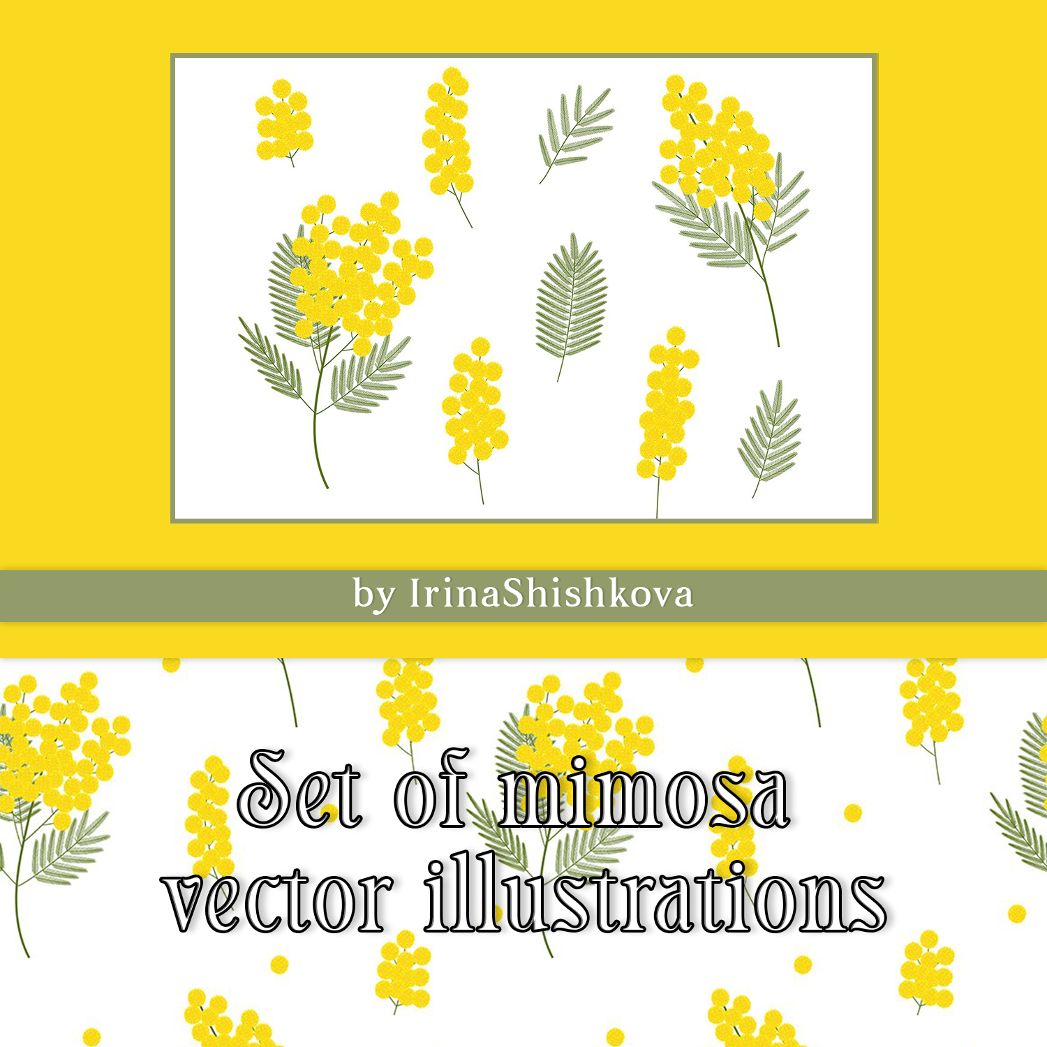 Set of mimosa vector illustrations preview.