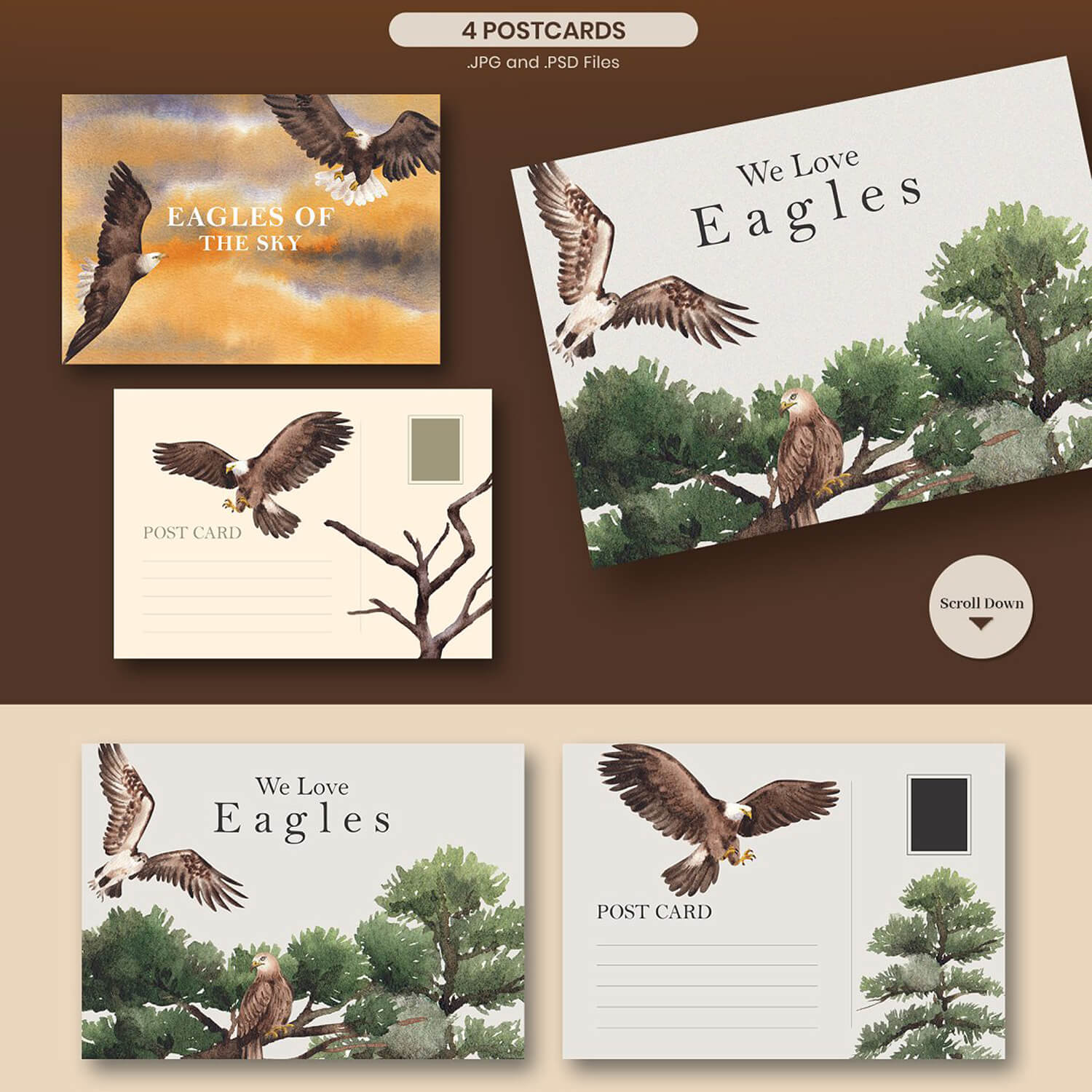 4 postcards with watercolor images of eagles.
