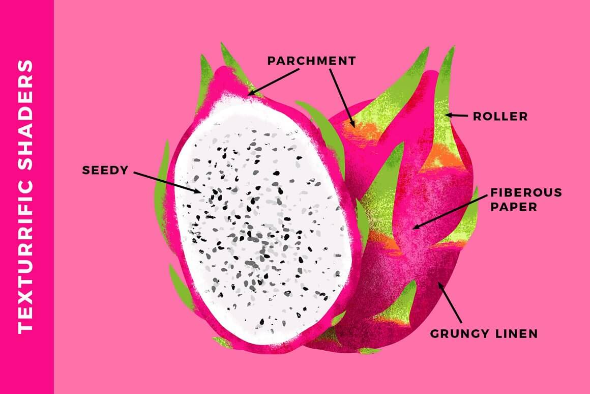Picture with the structure of the dragon fruit and inscription: seedy, parchment, roller, fiberous paper, grungy linen.
