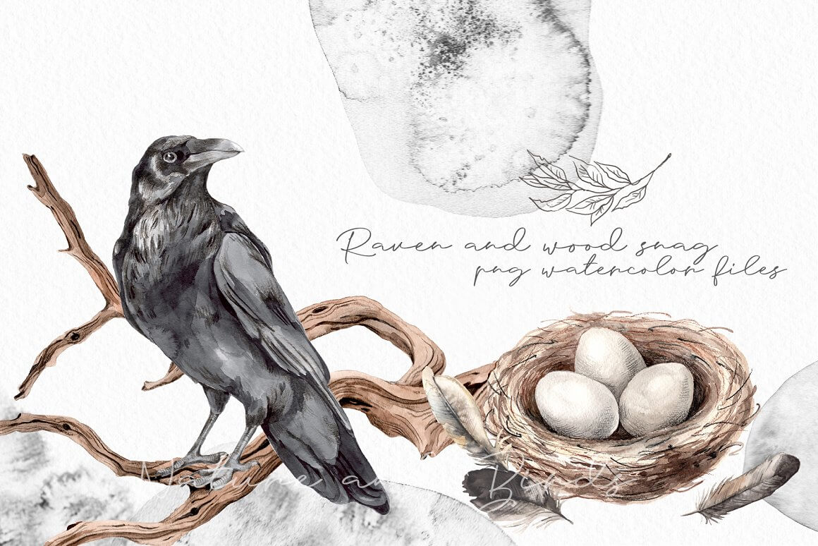 Raven and wood snag PNG Watercolor files.