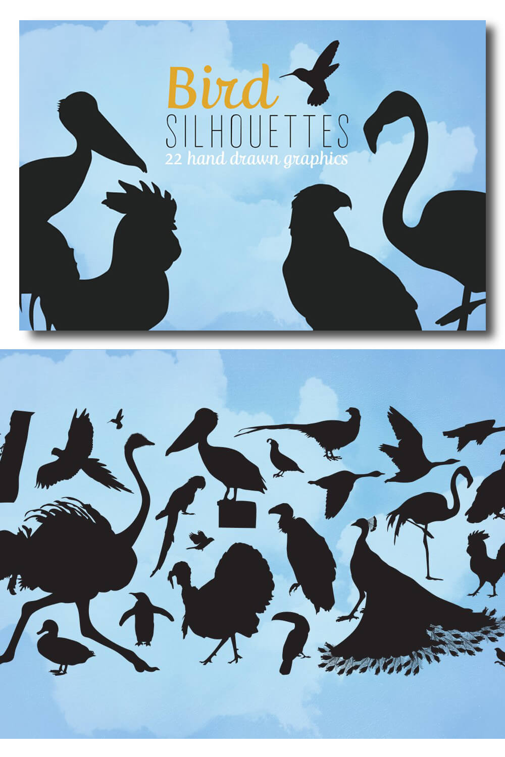 Two slides of bird silhouettes.