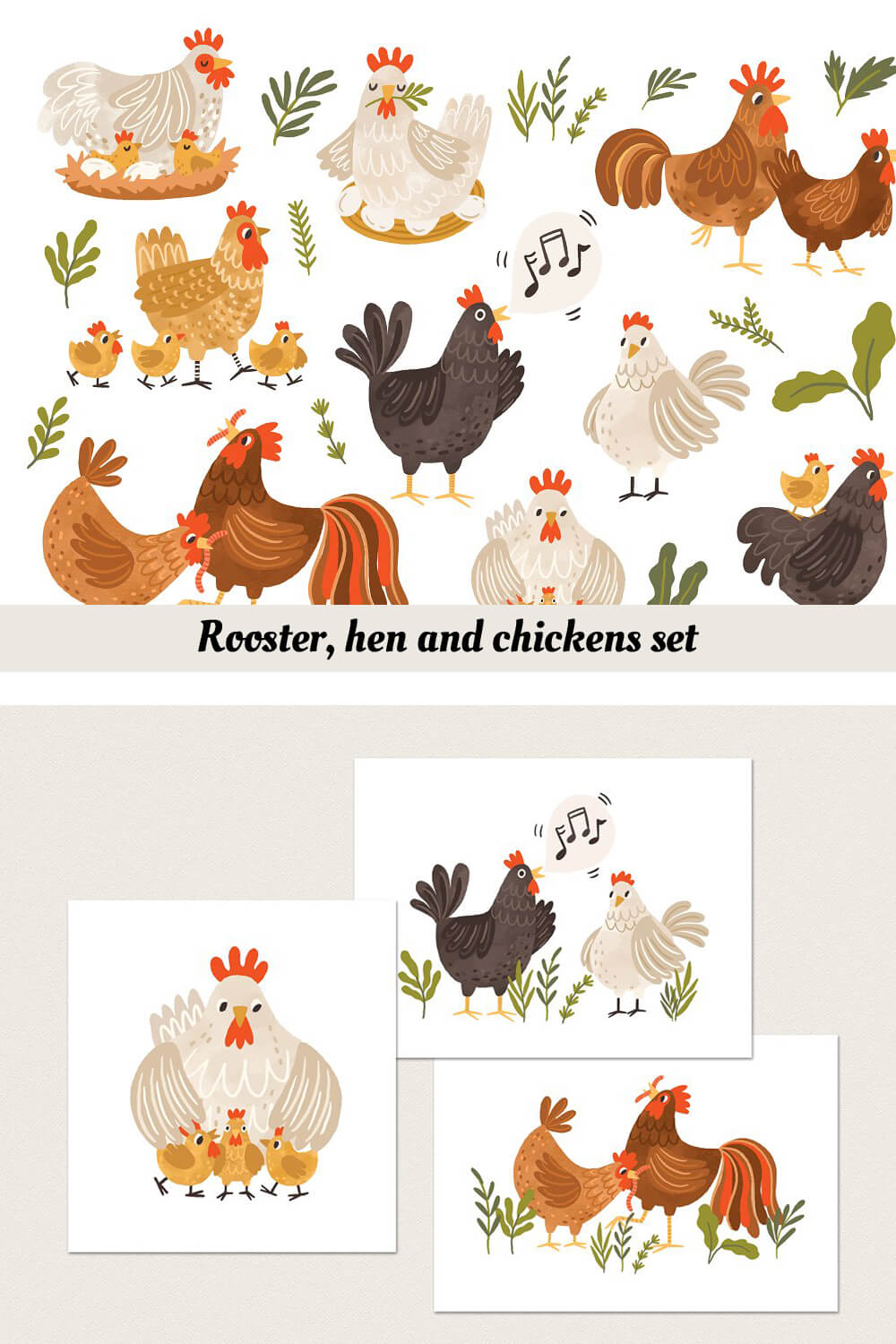 Two slides with images of roosters, hens and chickens.