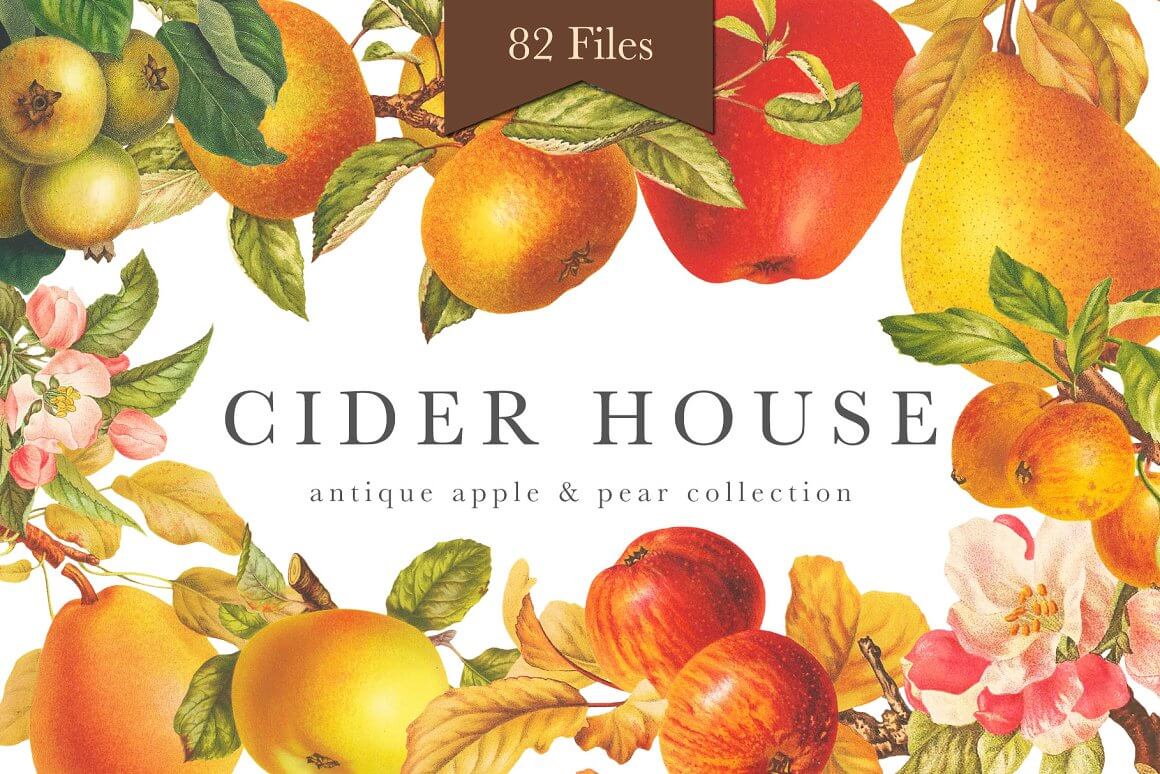 Cider House antique apple and pear collection.