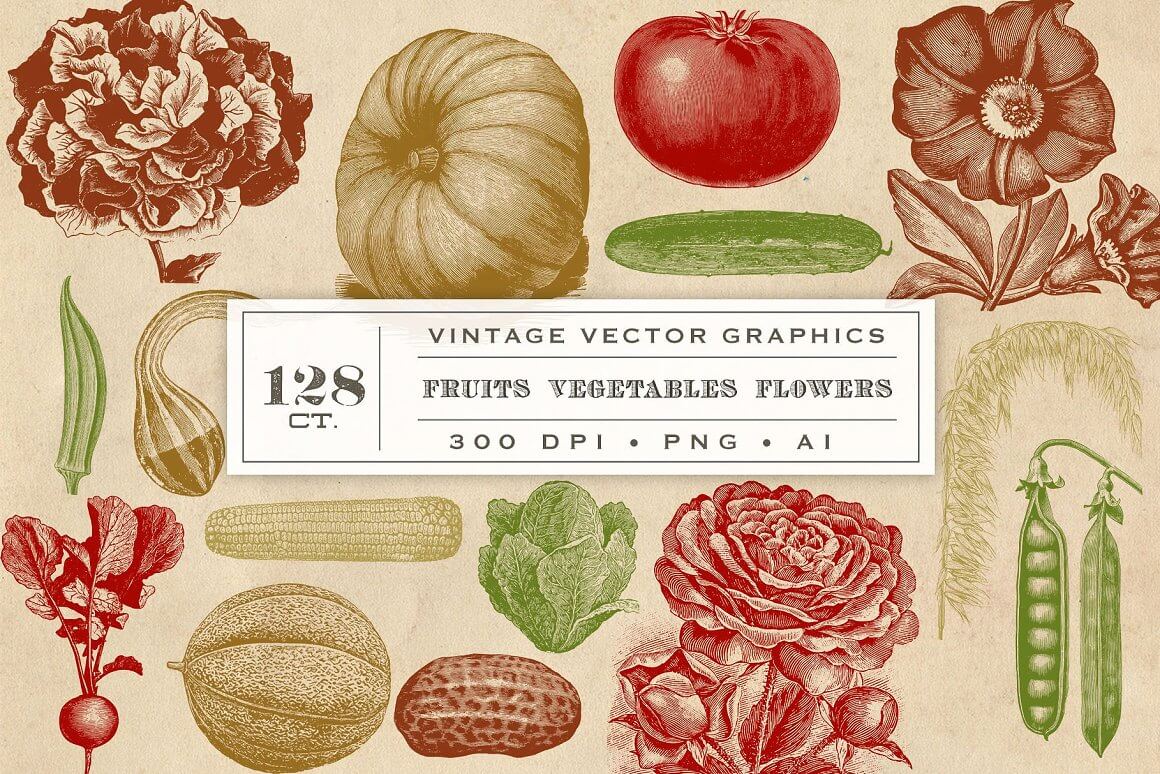 Fruits, vegetables and flowers of vintage vector graphics.