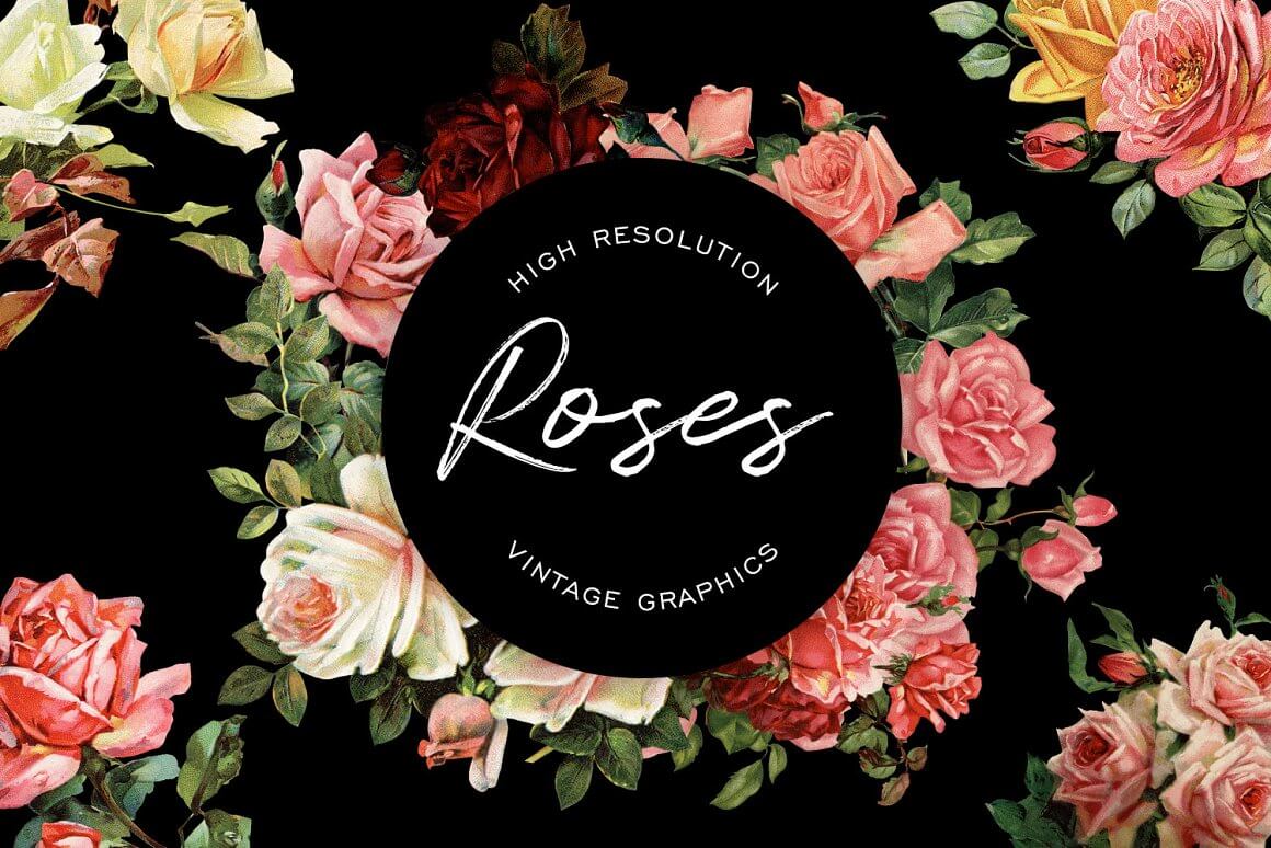 High resolution "Roses" vintage graphics.