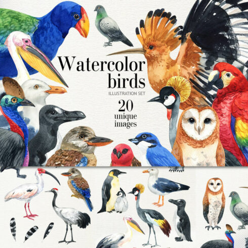 Watercolor exotic birds with product name and number of images.
