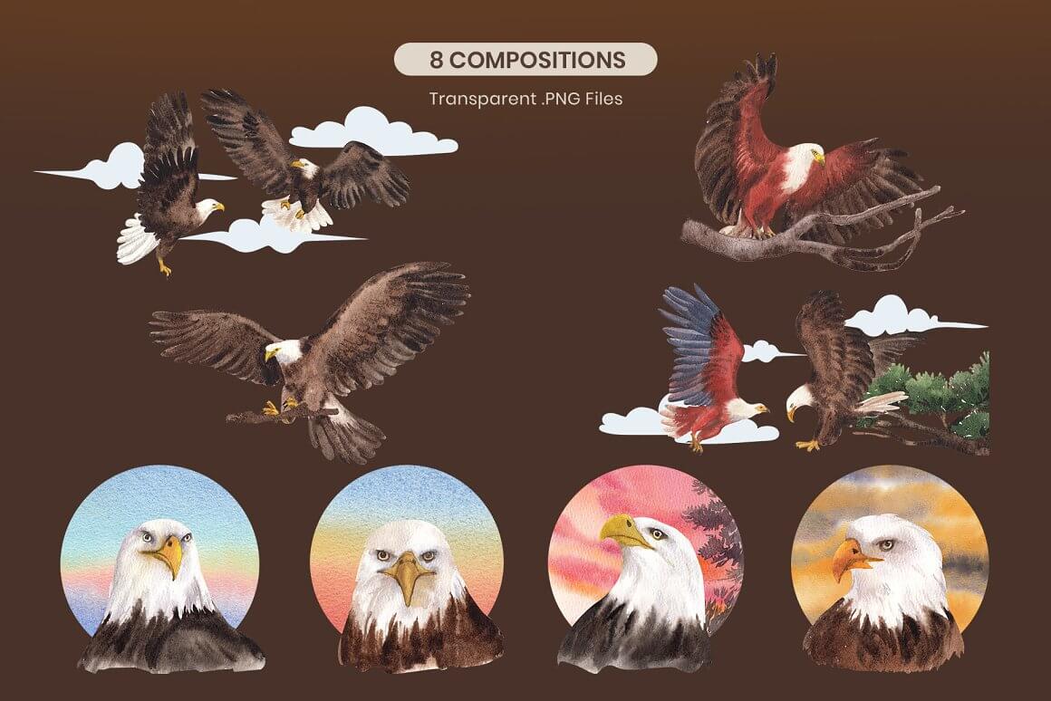 8 compositions with flying eagles or fighting among themselves.