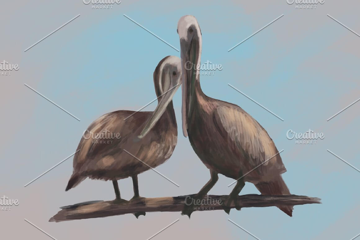 A pair of gray Pelicans are sitting on a branch.
