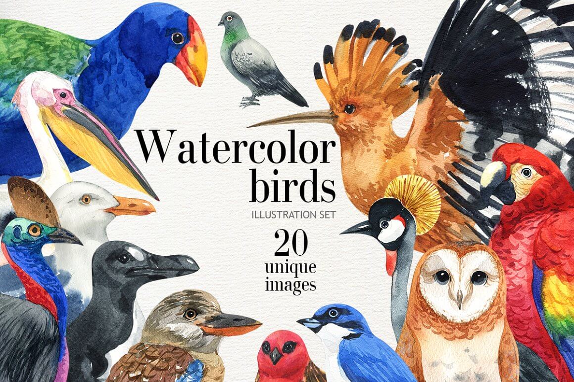 Watercolor birds illustration Set.