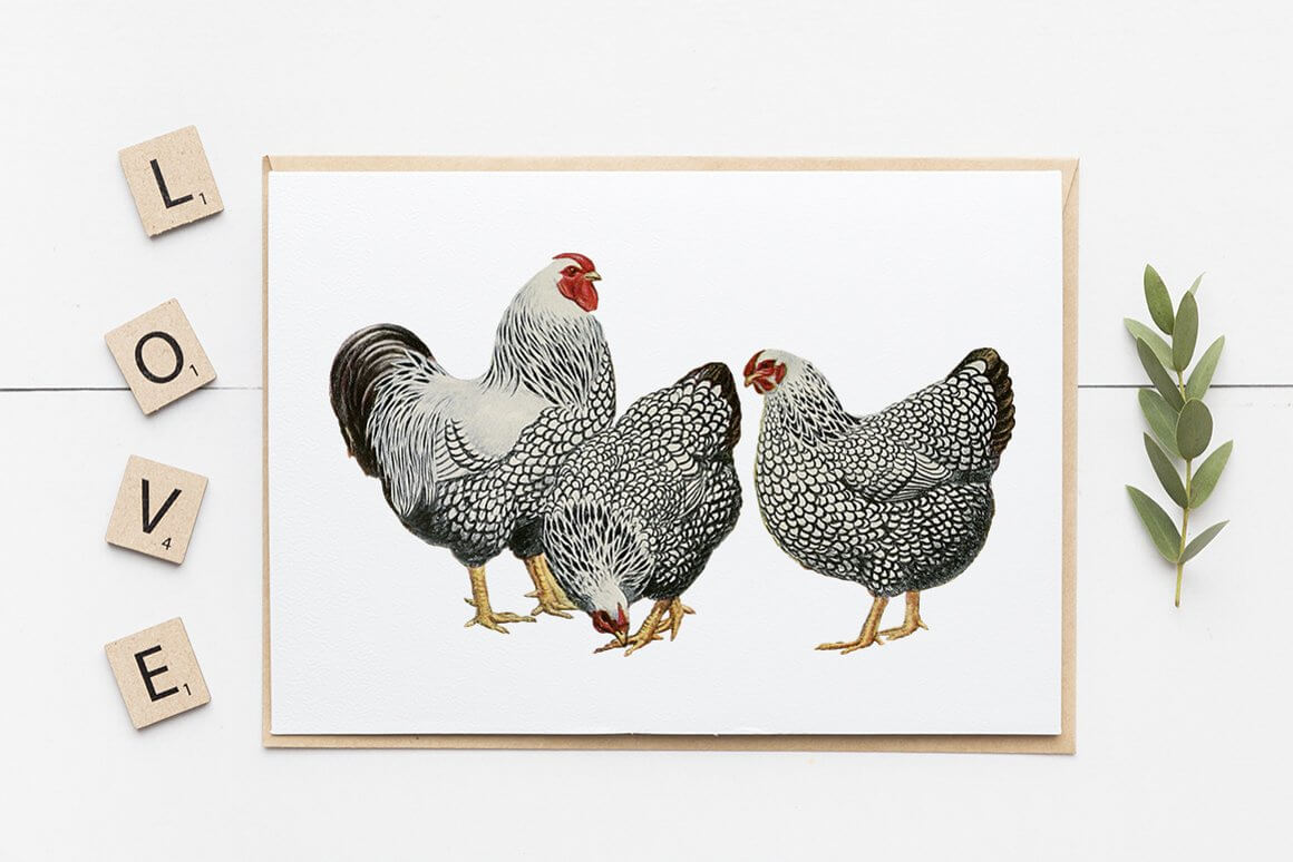 Chickens are drawn on a white sheet of paper and next to it is the inscription love.