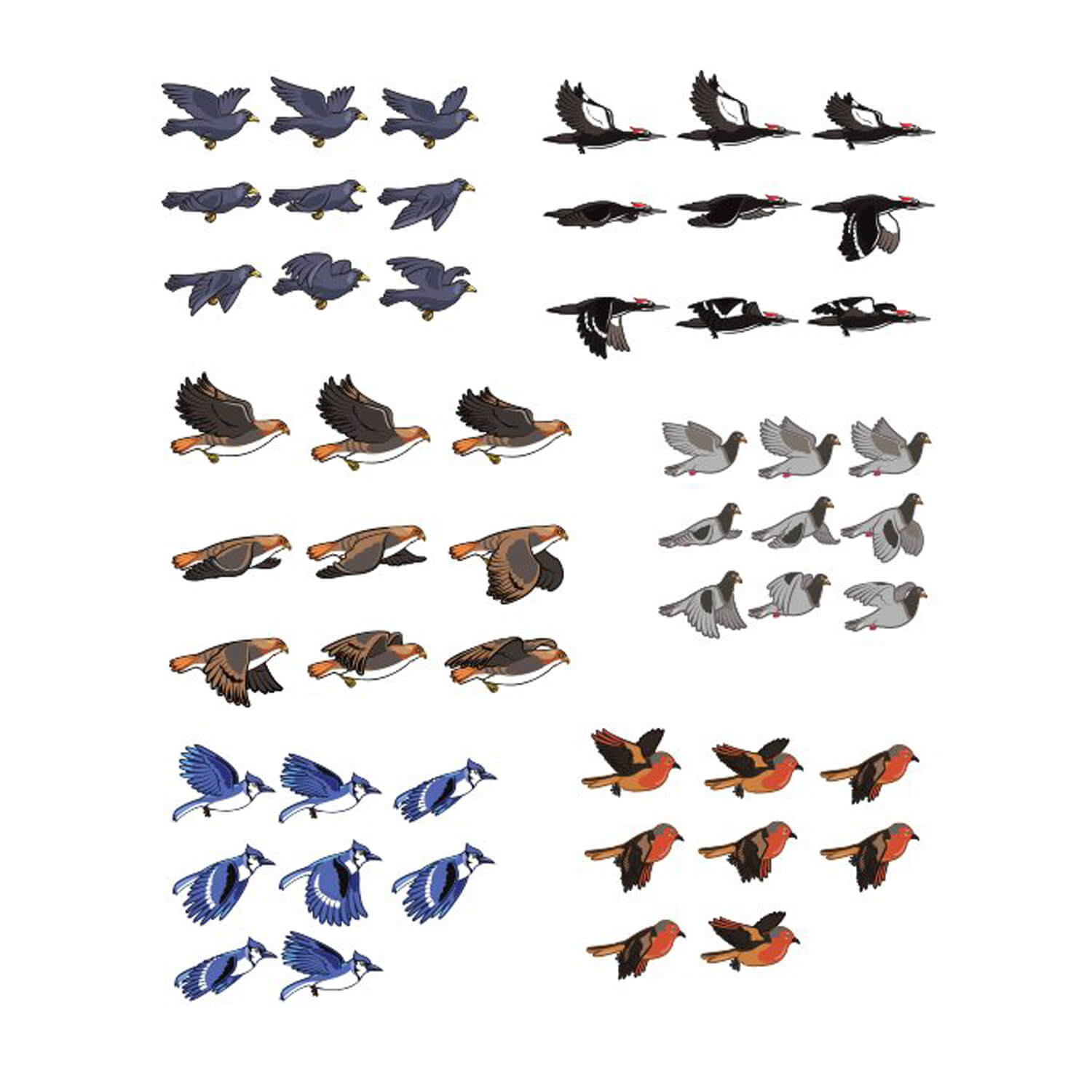 Flying birds of different breeds.