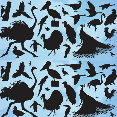 Many silhouettes of birds living on different continents.