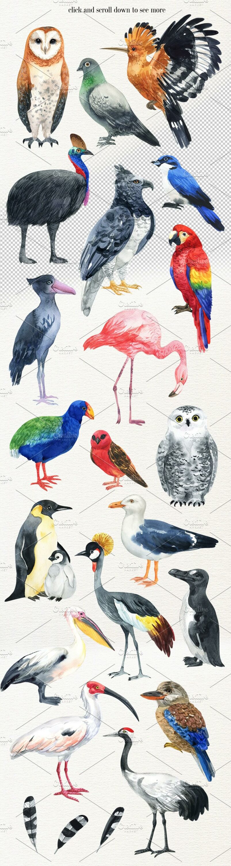 Watercolor birds illustration Set and Inscription: click and scroll down to see more.