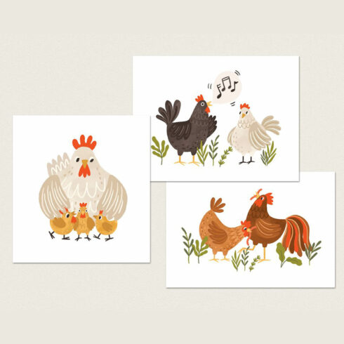 Three drawings with chickens on a light gray background.