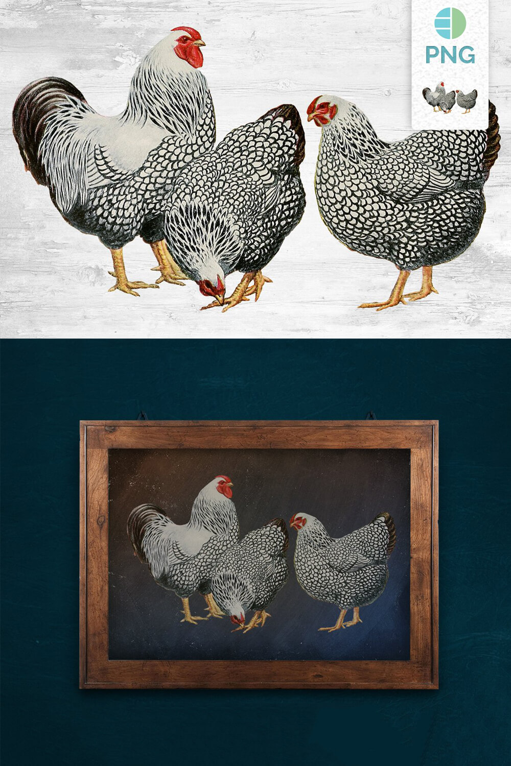Two options for using the image of speckled chickens.