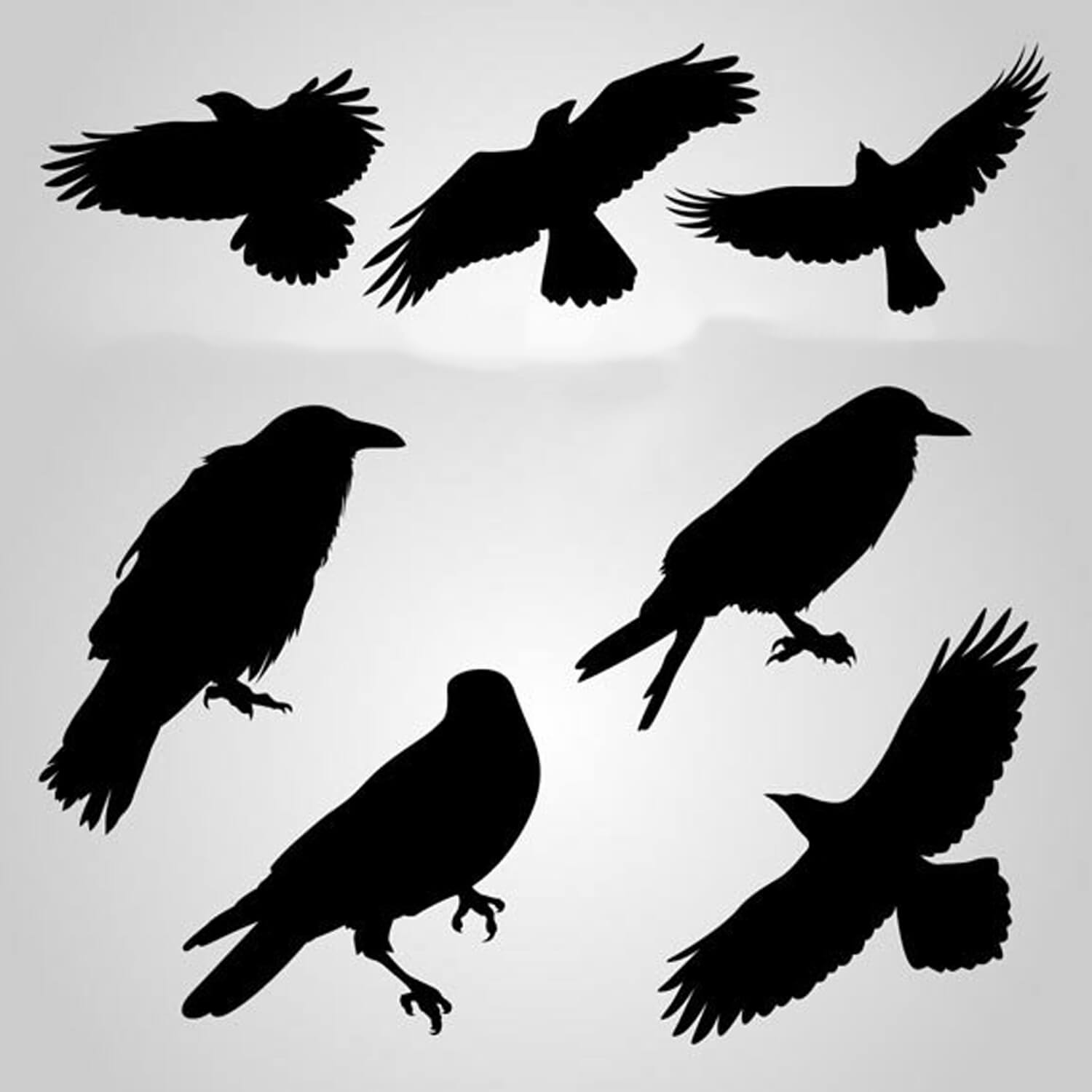 Silhouettes of birds with outstretched and folded wings.