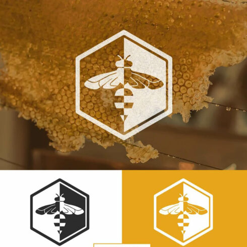 White bee logo on real honeycomb image.