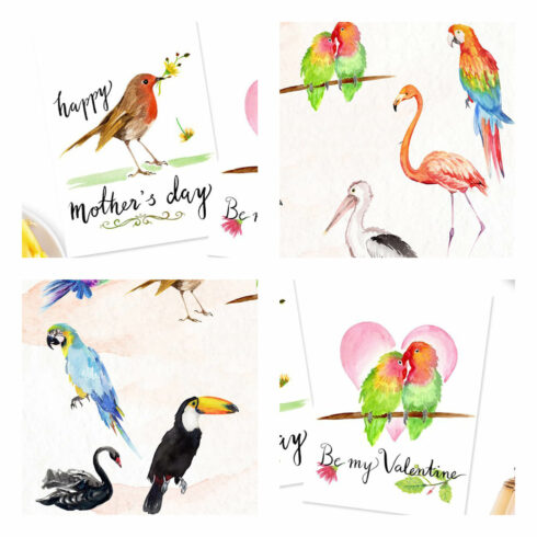 Watercolor drawings of exotic birds, which are drawn singly and in pairs.