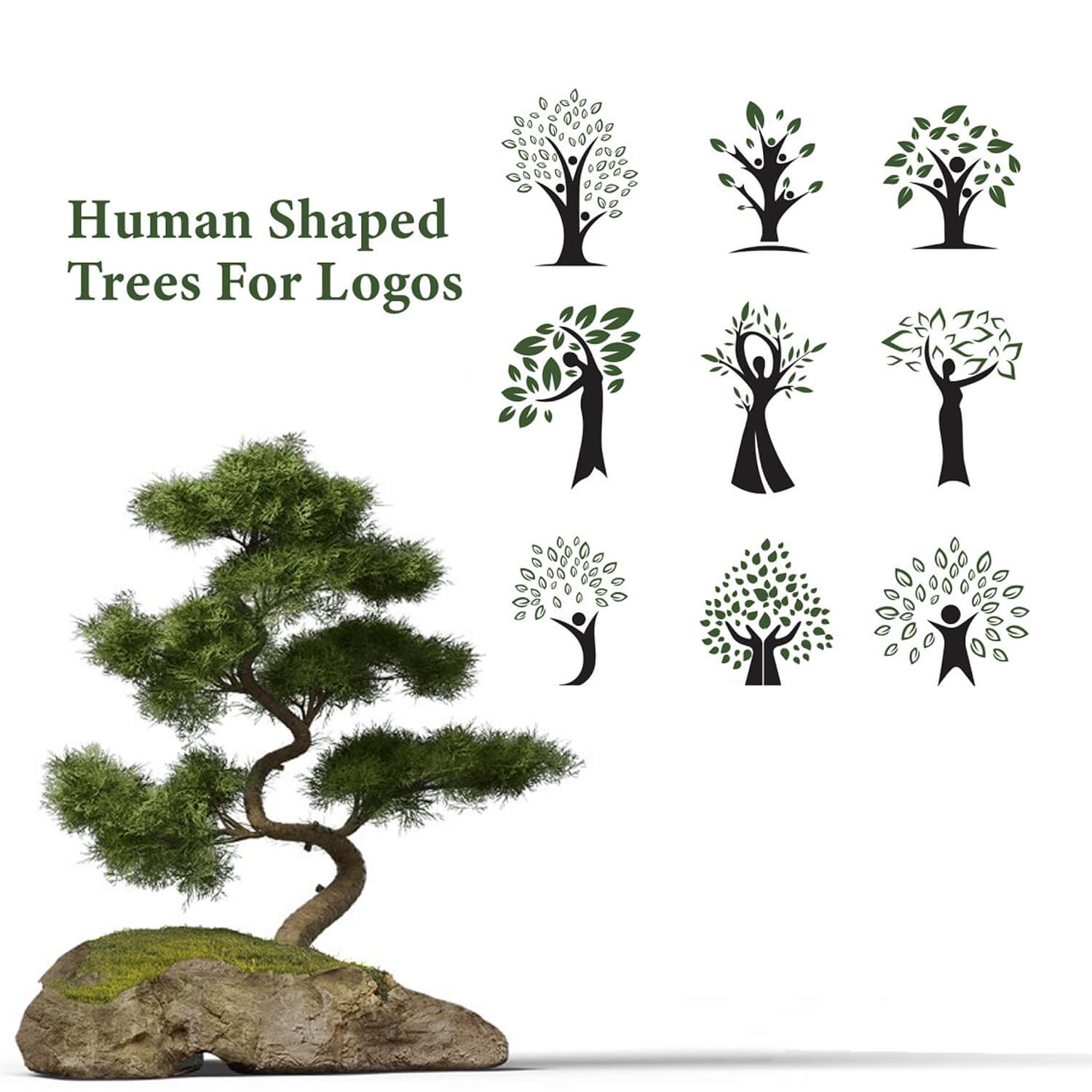 Nine variants of human shaped trees.