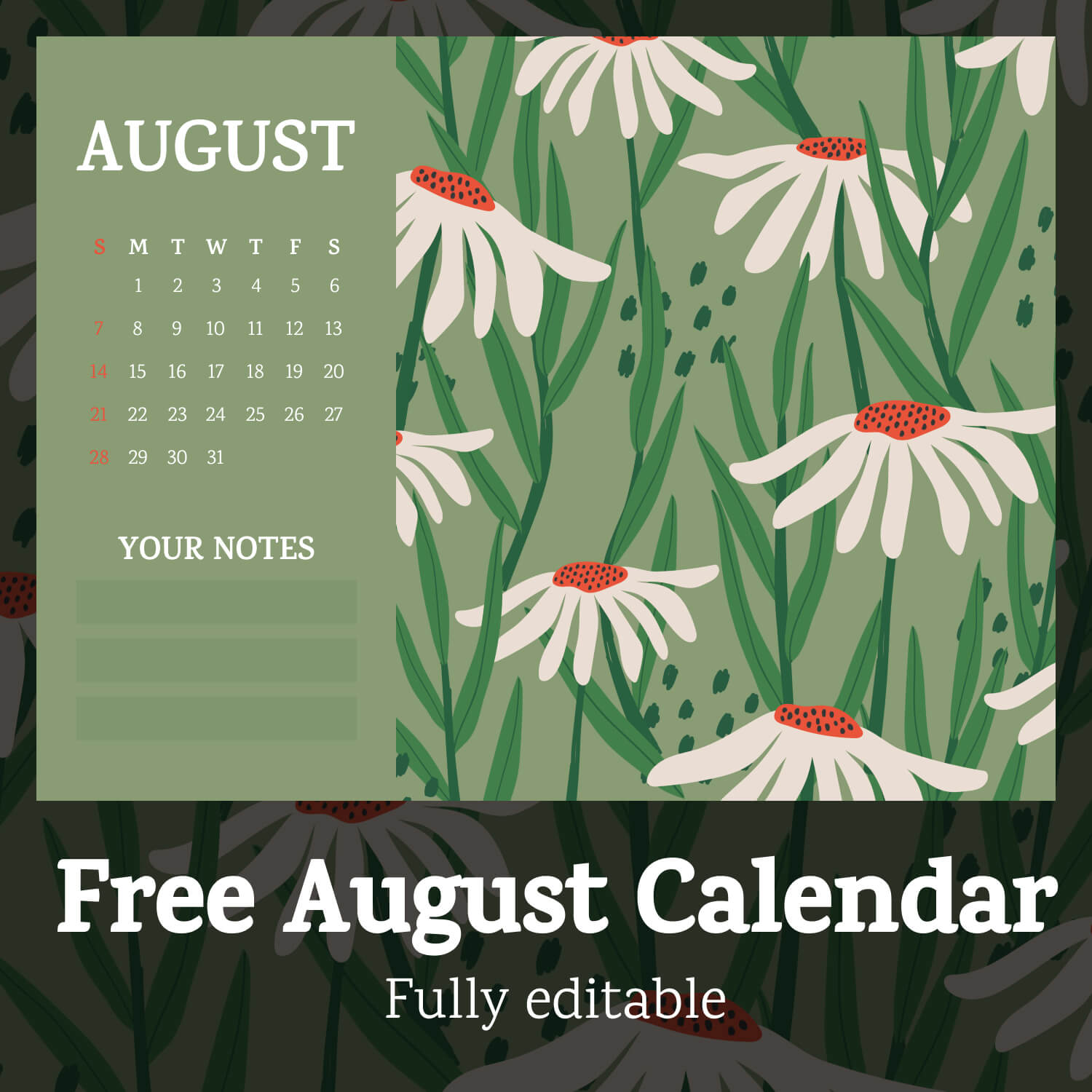 Free Chamomile August Fully Editable Printable Calendar Cover Image.
