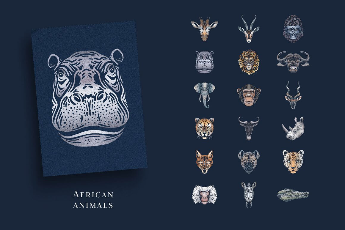 Images of African animal heads.