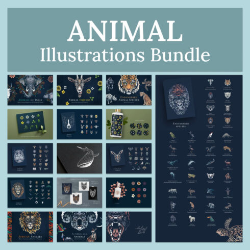 Slides of animal illustrations bundle.