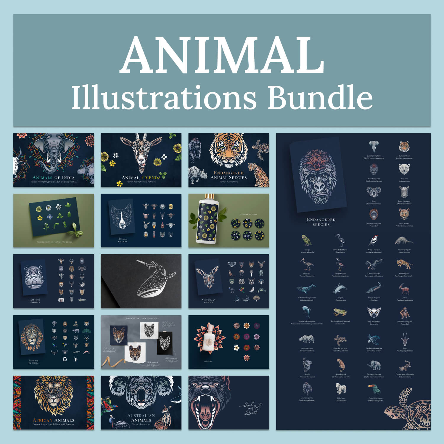 Slides of animal illustrations bundle.