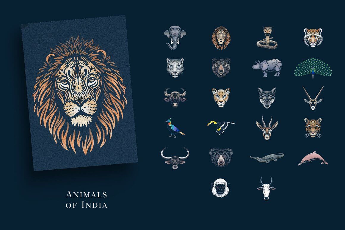 Exotic animals of India on a black background.