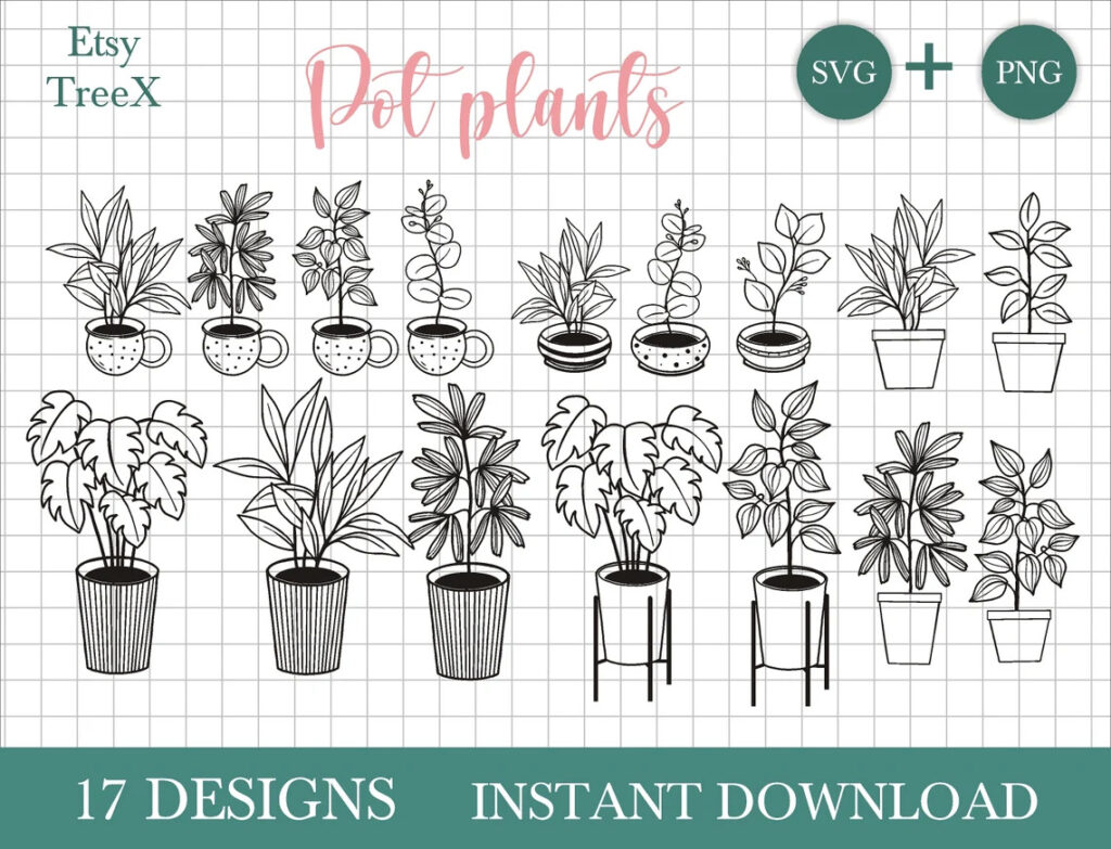 Hand Drawn House Plants Svg Bunch – MasterBundles