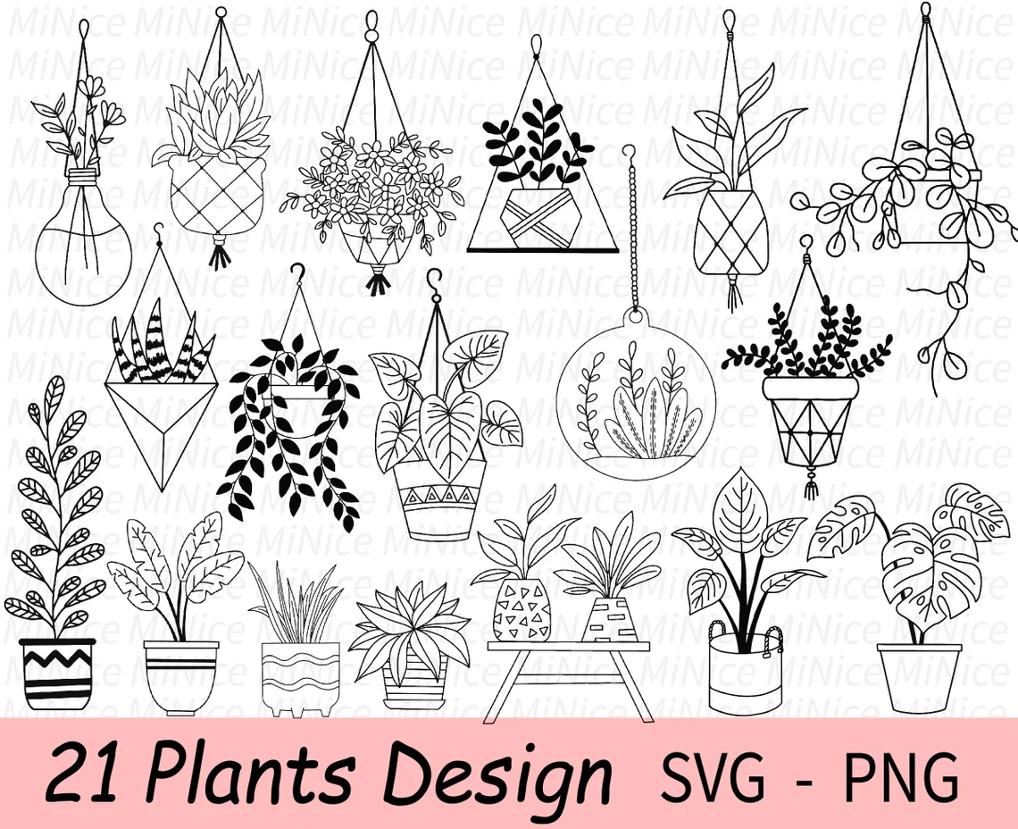 Image of pots with various plants for the home garden.