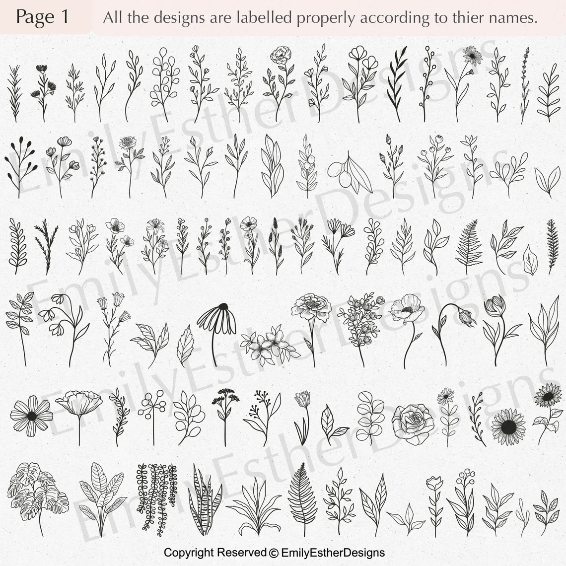 Images of different plants on a white background.